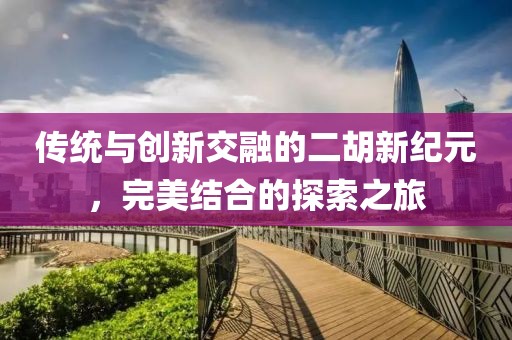 传统与创新交融的二胡新纪元，完美结合的探索之旅
