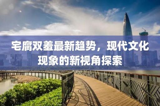 宅腐双羞最新趋势，现代文化现象的新视角探索