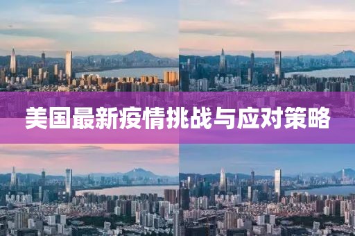 美国最新疫情挑战与应对策略