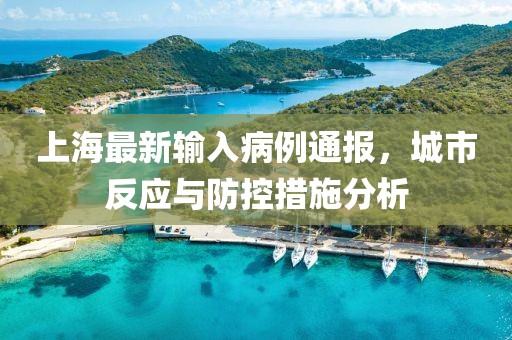 上海最新输入病例通报，城市反应与防控措施分析