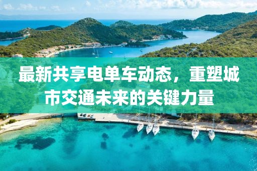 最新共享电单车动态，重塑城市交通未来的关键力量