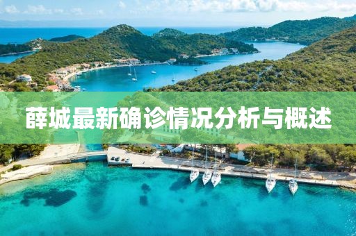 薛城最新确诊情况分析与概述