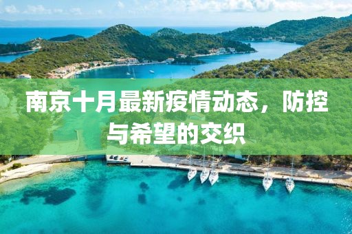 南京十月最新疫情动态，防控与希望的交织