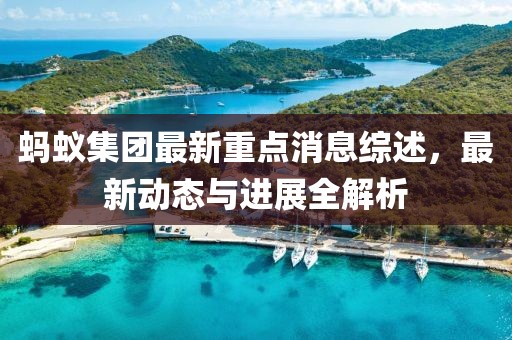 蚂蚁集团最新重点消息综述，最新动态与进展全解析