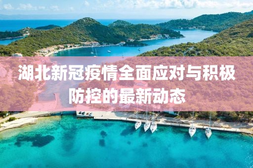 湖北新冠疫情全面应对与积极防控的最新动态