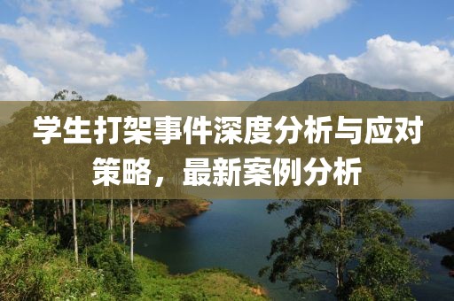 学生打架事件深度分析与应对策略，最新案例分析