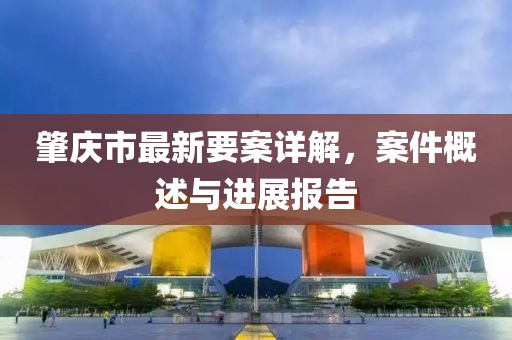 肇庆市最新要案详解，案件概述与进展报告
