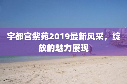 宇都宫紫苑2019最新风采，绽放的魅力展现