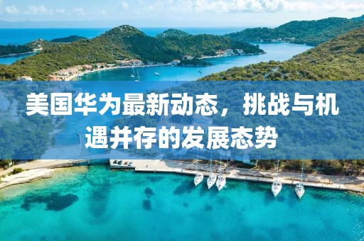 美国华为最新动态，挑战与机遇并存的发展态势