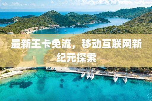 最新王卡免流，移动互联网新纪元探索