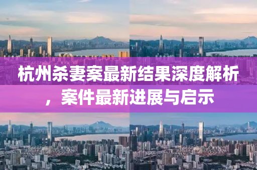 杭州杀妻案最新结果深度解析，案件最新进展与启示