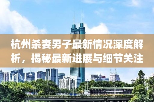 杭州杀妻男子最新情况深度解析，揭秘最新进展与细节关注