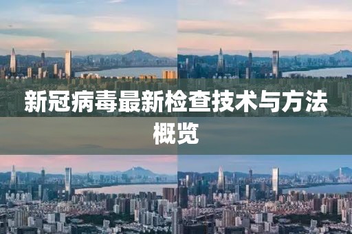 新冠病毒最新检查技术与方法概览