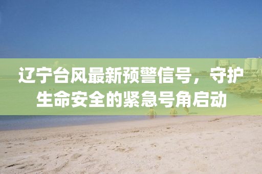 辽宁台风最新预警信号，守护生命安全的紧急号角启动