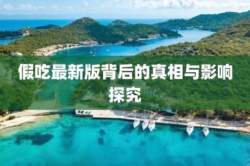 假吃最新版背后的真相与影响探究