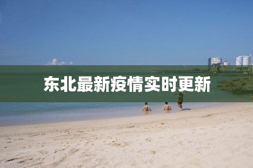 东北最新疫情实时更新