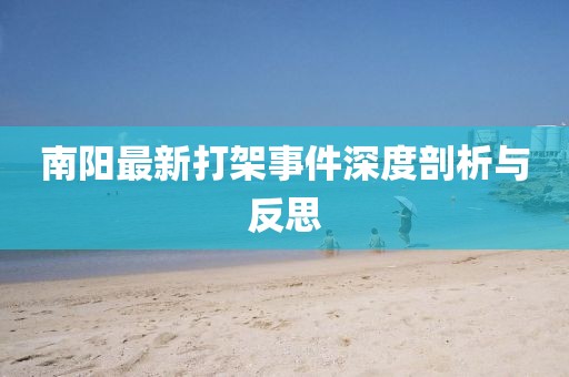 南阳最新打架事件深度剖析与反思
