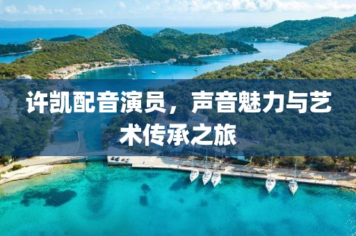 许凯配音演员，声音魅力与艺术传承之旅