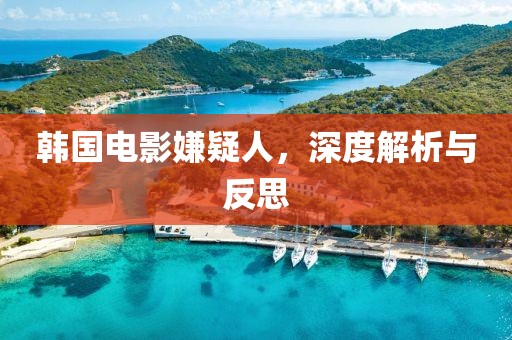 韩国电影嫌疑人，深度解析与反思