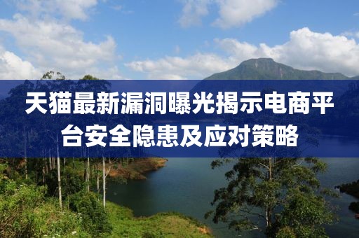 天猫最新漏洞曝光揭示电商平台安全隐患及应对策略