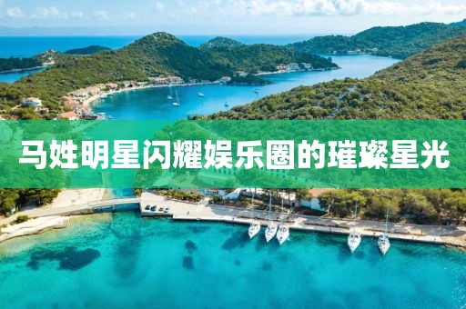马姓明星闪耀娱乐圈的璀璨星光