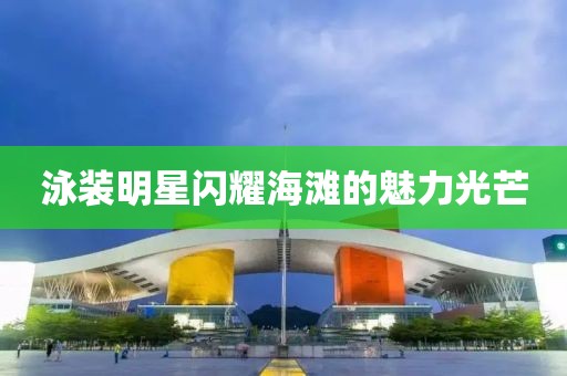 泳装明星闪耀海滩的魅力光芒