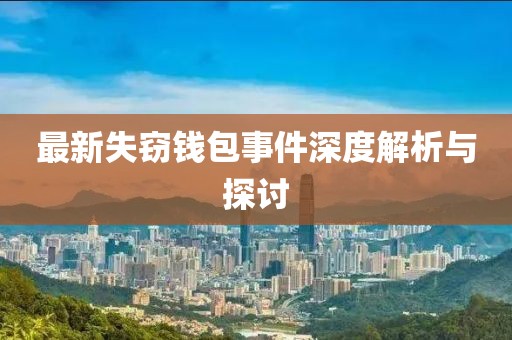最新失窃钱包事件深度解析与探讨
