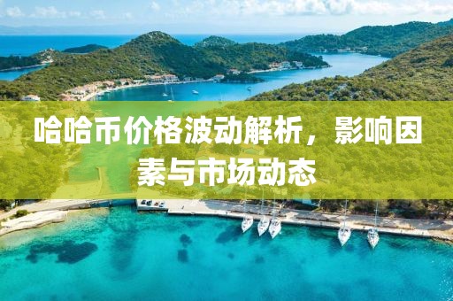 哈哈币价格波动解析，影响因素与市场动态