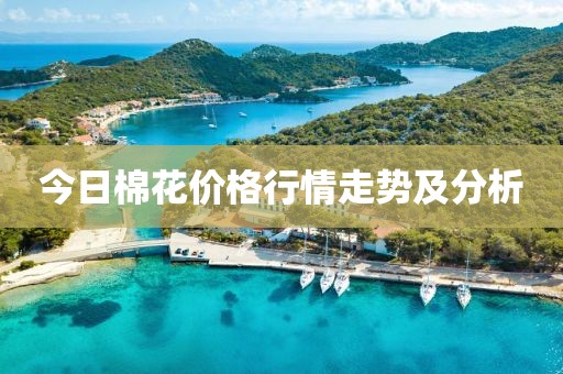 今日棉花价格行情走势及分析