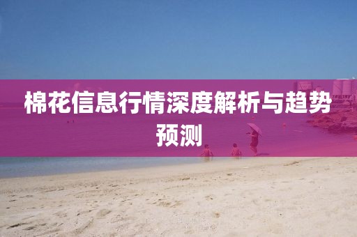 棉花信息行情深度解析与趋势预测