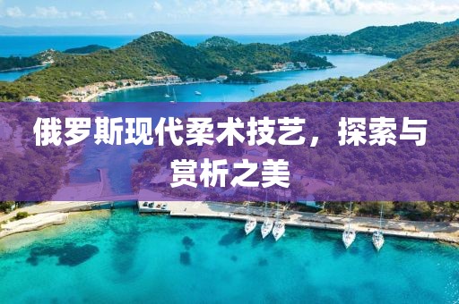 俄罗斯现代柔术技艺，探索与赏析之美