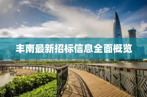 丰南最新招标信息全面概览