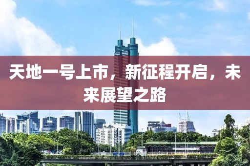 天地一号上市，新征程开启，未来展望之路