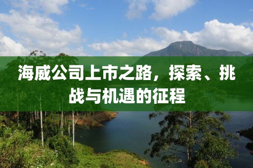 海威公司上市之路，探索、挑战与机遇的征程