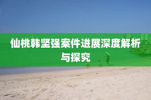 仙桃韩坚强案件进展深度解析与探究