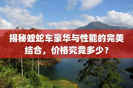 揭秘蝰蛇车豪华与性能的完美结合，价格究竟多少？