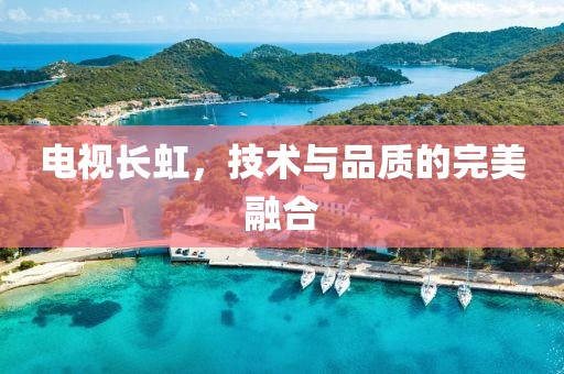 电视长虹，技术与品质的完美融合