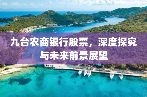 九台农商银行股票，深度探究与未来前景展望