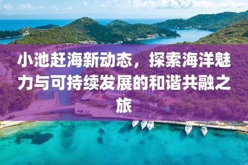 小池赶海新动态，探索海洋魅力与可持续发展的和谐共融之旅