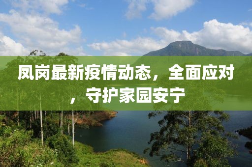 凤岗最新疫情动态，全面应对，守护家园安宁