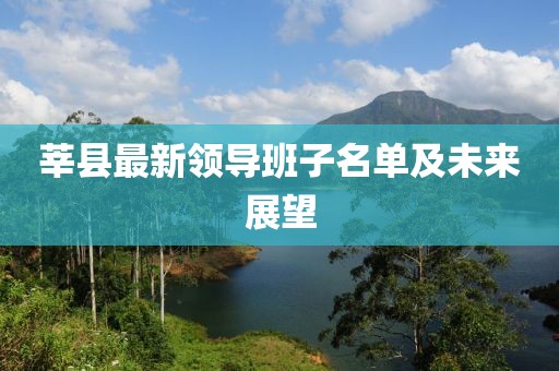 莘县最新领导班子名单及未来展望
