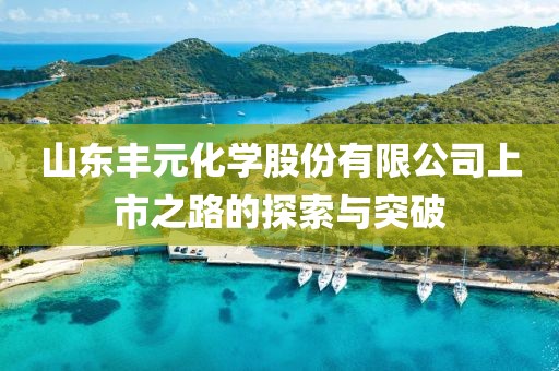山东丰元化学股份有限公司上市之路的探索与突破