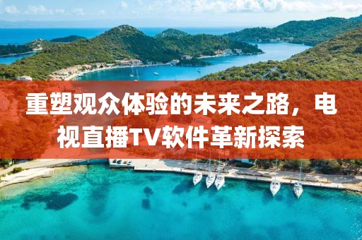 重塑观众体验的未来之路，电视直播TV软件革新探索