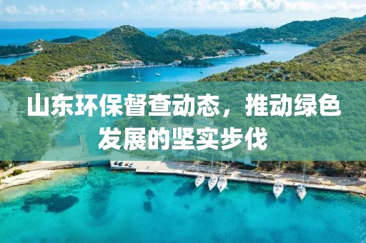 山东环保督查动态，推动绿色发展的坚实步伐