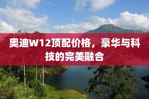 奥迪W12顶配价格，豪华与科技的完美融合
