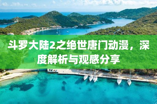 斗罗大陆2之绝世唐门动漫，深度解析与观感分享