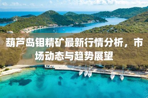 葫芦岛钼精矿最新行情分析，市场动态与趋势展望