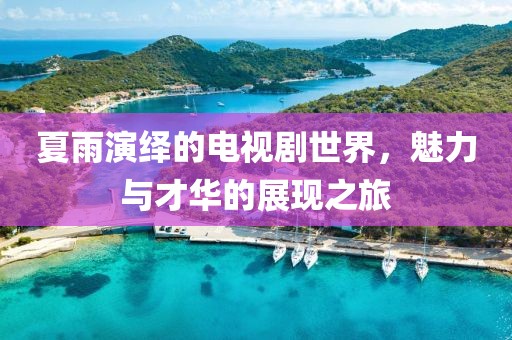 夏雨演绎的电视剧世界，魅力与才华的展现之旅