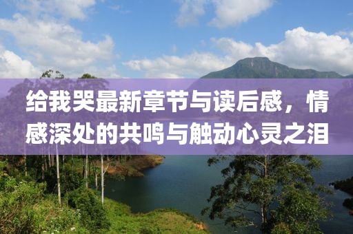给我哭最新章节与读后感，情感深处的共鸣与触动心灵之泪
