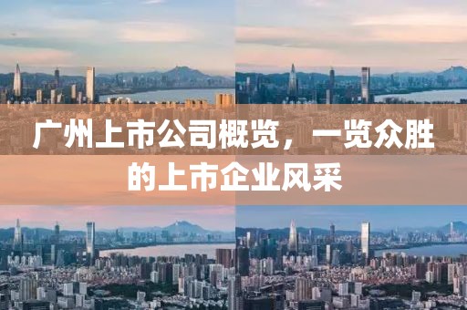 广州上市公司概览，一览众胜的上市企业风采